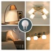 2.5W G14 LED Light Bulb,25W Equivalent E26/E27 Base 120V Vanity