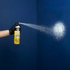 DAP 7079850020 Spray Knockdown Water Based Wall Texture Quick Repair,
