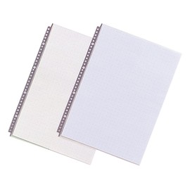 Lihit Lab N2007g Clear Pocket, B4S, 30 Holes, 10 Pieces, Gray