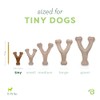 Benebone Wishbone Durable Dog Chew Toy for Aggressive Chewers, Real