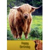 Highland Cow Birthday Card