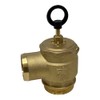 Brass Pressure Relief Valve, 300 CFM, 2" Diameter, Fully Adjustable,