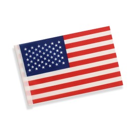 GentleGirl 100 Pack Countries Flags National Desk Flags,Small Mini Country World Table Flag with Stand Base,Sports Events Grand Opening Party Festival Decorations