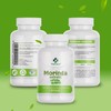 Moringa Oleifera Extrakt 500mg 60 Kapseln Miracle Tree