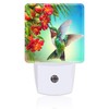 Hummingbird with Flowers Night Light for Kids,Red Tropical Floral Leaves