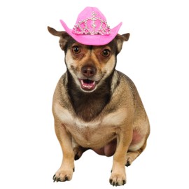 Rubie's Pink Cowgirl Dog Hat with Tiara, M/L