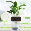 Relota Pack of 3 Flower Pot, White, 15.3 cm Width,