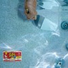 FLEX PASTE Pasta de Caucho Flexible, Funciona Bajo Agua; Repara
