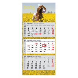 JAROGRAF Wall Calendar 2025 - 3-Month Calendar with Practical Wall Planner for Efficient Year Planning, Holidays, School Holidays and Important Dates (Woman) Three-Month Calendar