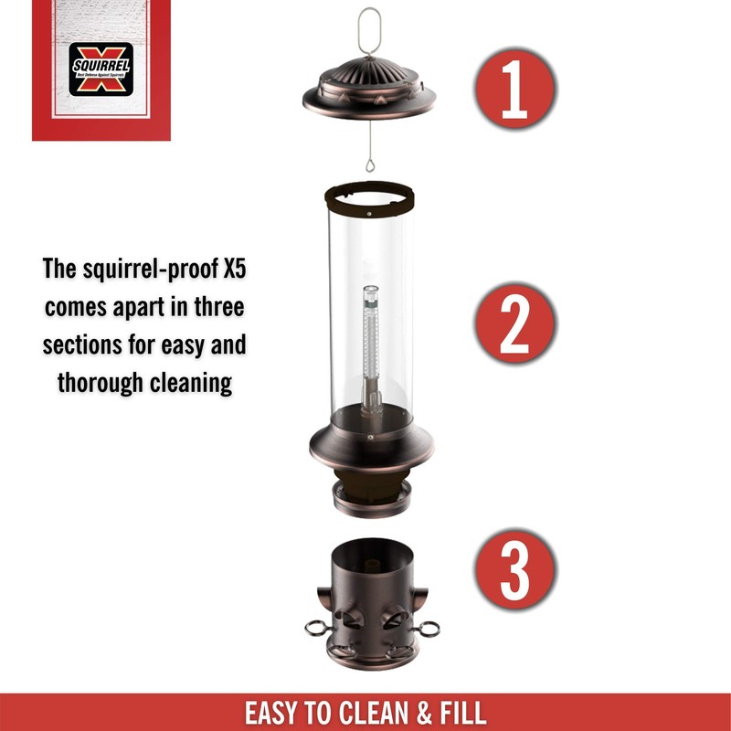 More Birds 100534168 X-5 Squirrel-X5 Feeder, 3-Lb Capacity, Brown