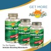 Nature's Life The Total EFA Fish Oil w/Organic Flaxseed &