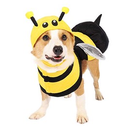 Spooktacular Creations Disfraz de perro de abeja de Halloween para mascotas (mediano)