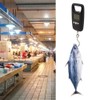 Fishing Scale, 50 kg Hanging Scale, Luggage Scale, Digital Suitcase