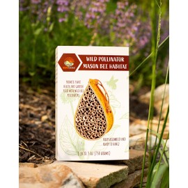 SunVara Wild Pollinator Mason Bee Habitat | Garden Bee House | Hanging Bee House Pack 2