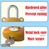 LHLZNB 2PCS Lovely Locker Padlocks，Small Padlocks with Keys，Padlock for Suitcase，Suitcase