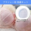 Hiro World Trade Bra Laundry Bags Set of 2 Domed