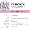 xencare Lavender USDA Organic Essential Oil | 100% Pure Natural