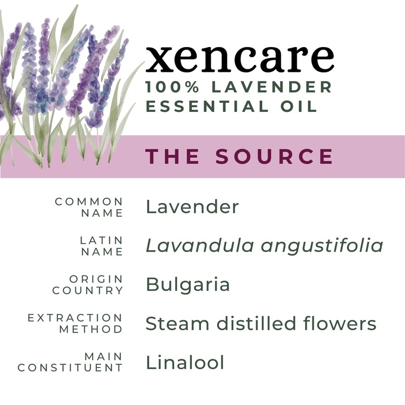 xencare Lavender USDA Organic Essential Oil | 100% Pure Natural
