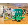 JOD® Turtle Cup Holder,Turtle Coaster with Funny Expression, 3 PCs