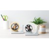 Seto Craft Motif Tape Dispenser, Bear SR-6412