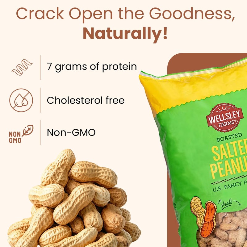 Wellsley Farms Salted and Roasted Peanuts In Shell - USA
