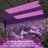 LED Grow Light
