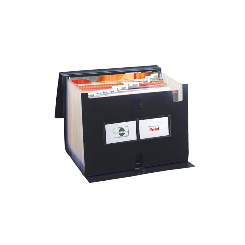 Pentel DCD24A 13 Pocket Recycology Expanding Document File Organiser -