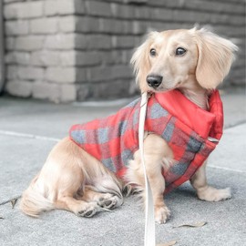 DJANGO Puffer Dog Jacket and Reversible Cold Weather Dog Coat with Full Coverage and Windproof Protection (Medium, Lava Red/Buffalo Plaid)