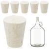 Ziliny 6 Pcs Carboy Cork Stopper, Glass Carboy Cap for