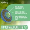 Vitabay Magnesium-L-Threonate 2000mg - 120 Vegan Liposomal Magnesium L Threonate