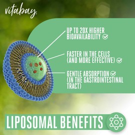 Vitabay Magnesium-L-Threonate 2000mg - 120 Vegan Liposomal Magnesium L Threonate 2000mg Softgels - Highly Dosed Softgels with Vitamin D3 Cholecalciferol (1000 IU) & K2 MK7 (100mcg) - Laboratory Tested