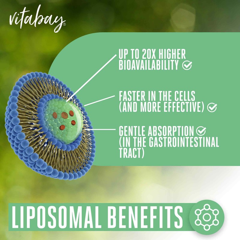 Vitabay Magnesium-L-Threonate 2000mg - 120 Vegan Liposomal Magnesium L Threonate