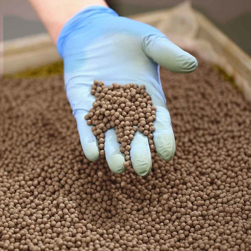 Dusonae Herb Finger Root Pills 200g / 두손애약초 핑거루트환 200g