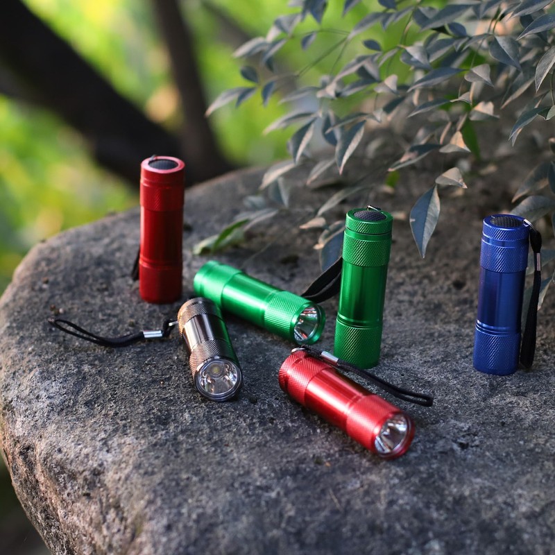 FASTPRO 20-Pack Aluminum 6-LED Flashlights Set with Lanyard and AAA