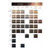 Schwarzkopf Igora Royal Premium Hair Colour, Pack of 1 (60