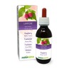 Raspberry (Rubus idaeus) Leaves Alcohol-Free Mother Tincture Naturalma - Liquid