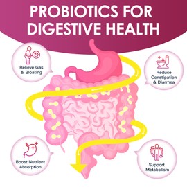 Probiotics for Women Digestive Health, Vaginal probiotics 120 Billion CFU 31 Strains with Digestive Enzymes & Prebiotics & D Mannose & Cranberry for Urinary Tract, 90 Capsules