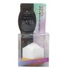 SHO-BI SPV71300 Glossy Skin Drop Foundation Brush