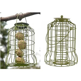 Chapel Wood Squirrel Proof Fat Ball Feeder Green