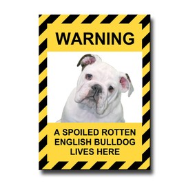 English Bulldog Spoiled Rotten Fridge Magnet No 3