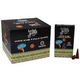 Tribal Soul Premium Backflow Incense Cones (Jumbo, 10 Cones) | Aromatic, Long-Burning for Waterfall Incense Burners : (2 Packs, White Sage & Palo Santo)