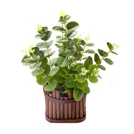 Faux Plant Indoor Realist Dusty Green Leaf Fake Eucalyptus Plants 13 inch Shelf Decor Artificial Plant with Coffee Wood Pot and Pebble Stones for Office Table Hotel Desk Farmhouse Entryway Decoration