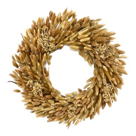 Galt International 21" Preserved Golden Natural Dried Lush Wheat Autumn Fall Wreath - Straw Wreath for Front Door Farmhouse Harvest Thanksgiving Decorations Home Decor Pampas