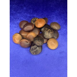 Sea Beans (3) Good Luck Talisman Evil Eye protection Hamburger Sea Bean