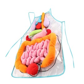 iplusmile 1 Set Human Viscera Apron Anatomy Organ Molds Anatomical Apron 3d Organ Apron Body Organ Molds Educational Toys for Toddlers Anatomy Apron Teaching Aids Polyester Child Human Body