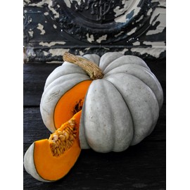 Jarrahdale Pumpkin Seeds - 1/4 LB Bulk ~450 Seeds - Heirloom, Open Pollinated, Non-GMO, Farm & Vegetable Gardening Seed