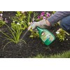 Ortho 0438580 Grass B Gon Garden Grass Killer Ready-to-Use, 24-Ounce