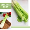 Alipis 2pcs Artificial Celery Models, Lifelike Pu Simulation Vegetables for
