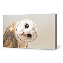 SIGNFORD Canvas Print Wall Art White Owl with Twisted Head Animals Wildlife Photography Rustic Portrait Cool for Living Room, Bedroom, Office - 16"x24"