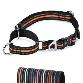 JIPIMON Martingale Dog Collar Reflective Nylon Soft Cushion with Alloy Buckle Dog Collar Martingale Small Medium and Large Dogs (Medium, Orange)